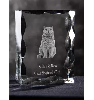 Selkirk Rex Cat Shorthaired - crystal with a cat picture, glass statuette with a picture, unique frame with a picture from Art-Dog brand