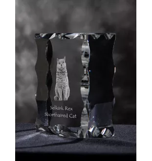 Selkirk Rex Cat Shorthaired - crystal with a cat picture, glass statuette with a picture, unique frame with a picture from Art-Dog brand