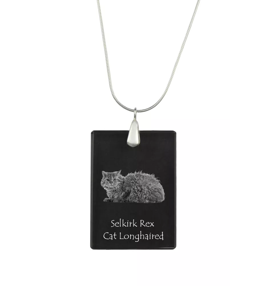 Selkirk Rex Cat Longhaired - Crystal pendant with cat, silver necklace with photo, personalised pendant by Art-Dog brand