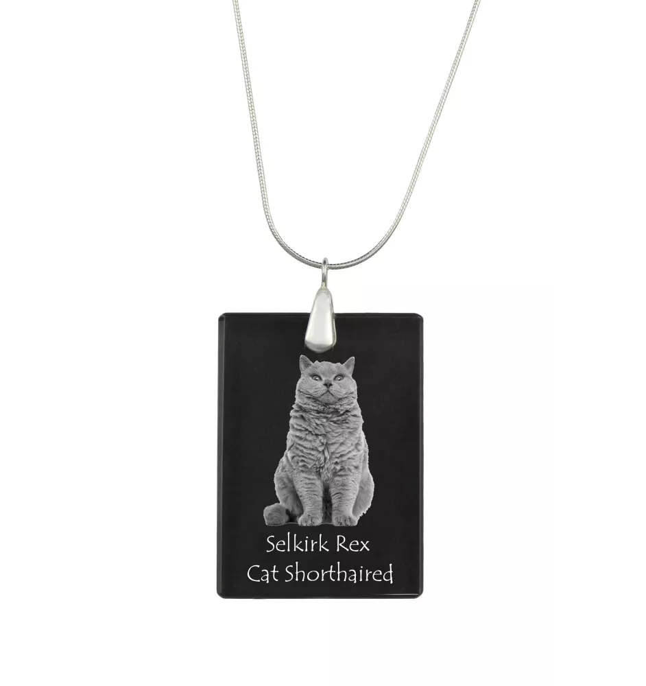 Selkirk Rex Katze Kurzhaar - Crystal pendant with cat, silver necklace with photo, personalised pendant by Art-Dog brand