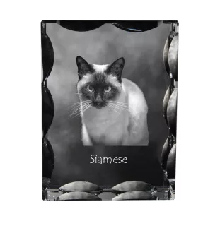 Siamese - crystal with a cat picture, glass statuette with a picture, unique frame with a picture from Art-Dog brand