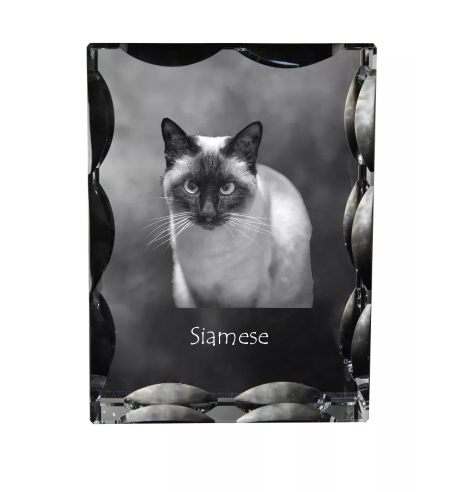 Siamese - crystal with a cat picture, glass statuette with a picture, unique frame with a picture from Art-Dog brand