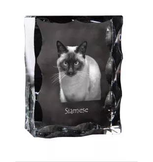 Siamois - cristal avec une photo de chat, une statuette en verre avec une photo, un cadre exceptionnel avec une photo de la marque Art-Dog