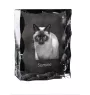 Siam - Kristall mit Katzenbild, Glasstatuette mit Bild, einzigartiger Bilderrahmen der Marke Art-Dog