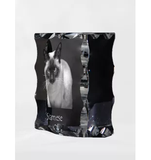 Siam - Kristall mit Katzenbild, Glasstatuette mit Bild, einzigartiger Bilderrahmen der Marke Art-Dog