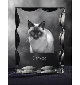 Siamese - crystal with a cat picture, glass statuette with a picture, unique frame with a picture from Art-Dog brand