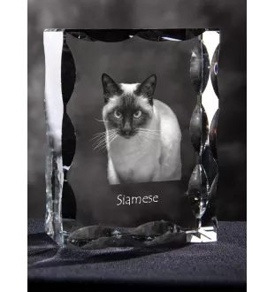 Siam - Kristall mit Katzenbild, Glasstatuette mit Bild, einzigartiger Bilderrahmen der Marke Art-Dog