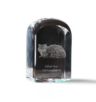 Selkirk Rex Cat Longhaired - crystal cube with a photo, photo of a cat in crystal, cubic paperweight from Art-Dog brand