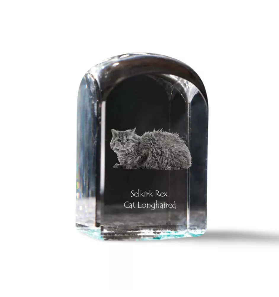 Selkirk Rex Cat Longhaired - crystal cube with a photo, photo of a cat in crystal, cubic paperweight from Art-Dog brand