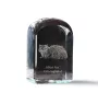 Selkirk Rex Cat Longhaired - crystal cube with a photo, photo of a cat in crystal, cubic paperweight from Art-Dog brand