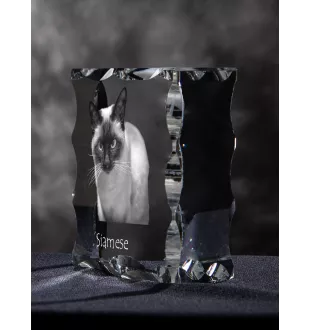 Siam - Kristall mit Katzenbild, Glasstatuette mit Bild, einzigartiger Bilderrahmen der Marke Art-Dog