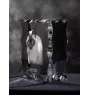 Siamese - crystal with a cat picture, glass statuette with a picture, unique frame with a picture from Art-Dog brand