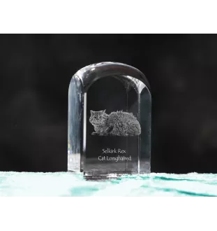 Chat Selkirk Rex à poil long - un cube en cristal avec une photo, une photo de chat dans le cristal, un presse-papiers cubique de la marque Art-Dog