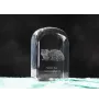 Selkirk Rex Cat Longhaired - crystal cube with a photo, photo of a cat in crystal, cubic paperweight from Art-Dog brand