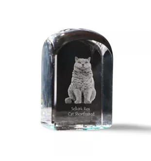 Selkirk Rex Cat Shorthaired - crystal cube with a photo, photo of a cat in crystal, cubic paperweight from Art-Dog brand