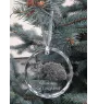 Chat Selkirk Rex à poil long - boule de Noël en cristal avec une photo, photo d'un chat dans le cristal, décoration personnalisée pour sapin de Noël de la marque Art-Dog