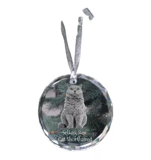 Kot Selkirk Rex krótkowłosy medal kryształowy z kotem Art-Dog