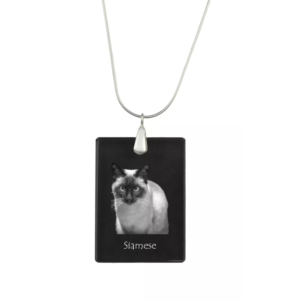 Siam - Crystal pendant with cat, silver necklace with photo, personalised pendant by Art-Dog brand