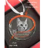 Kot Selkirk Rex krótkowłosy medal kryształowy z kotem Art-Dog