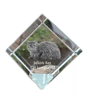 Selkirk Rex Cat Longhaired - crystal cube with a picture of a cat, crystal with a picture of a horse, cubic paperweight by Art-Dog brand