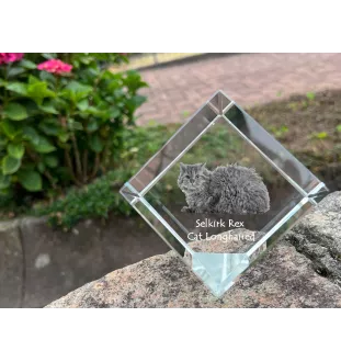 Selkirk Rex Cat Longhaired - crystal cube with a picture of a cat, crystal with a picture of a horse, cubic paperweight by Art-Dog brand