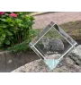 Selkirk Rex Cat Longhaired - crystal cube with a picture of a cat, crystal with a picture of a horse, cubic paperweight by Art-Dog brand
