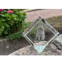 Selkirk Rex Cat Shorthaired - crystal cube with a picture of a cat, crystal with a picture of a horse, cubic paperweight by Art-Dog brand