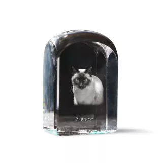 Siamese - crystal cube with a photo, photo of a cat in crystal, cubic paperweight from Art-Dog brand
