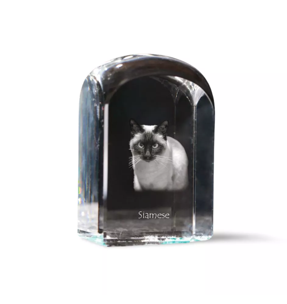 Siamois - un cube en cristal avec une photo, une photo de chat dans le cristal, un presse-papiers cubique de la marque Art-Dog