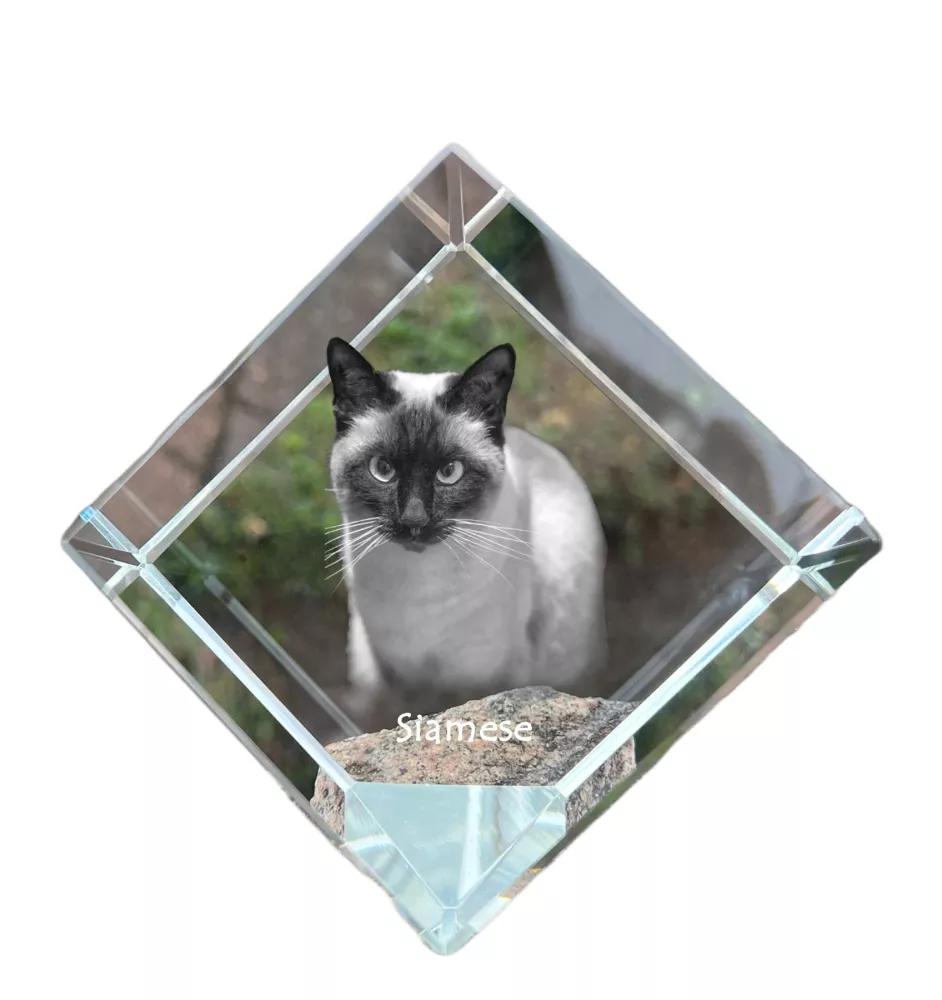 Siamois - un cube en cristal avec une photo de chat, une photo de cheval dans le cristal, un presse-papiers cubique de la marque Art-Dog