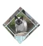 Siam - Kristallwürfel mit Katzenbild, Pferdebild im Kristall, sechseckiger Papierclip von der Marke Art-Dog