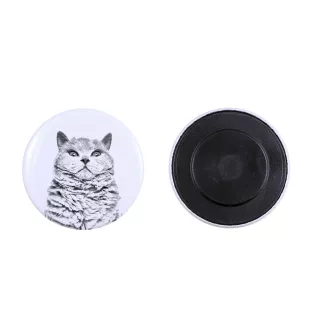 Kot Selkirk Rex krótkowłosy magnes z kotem mały Art-Dog