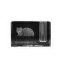 Selkirk Rex Katze Langhaar - Stifthalter, Kristallorganizer mit Katzenfoto, einzigartige Schreibtischdekoration der Marke Art-Dog