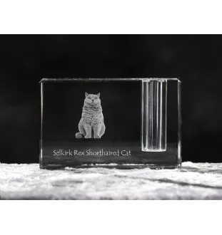 Selkirk Rex Cat Shorthaired - Pen stand, crystal organiser with cat photo, unique desk decoration by Art-Dog brand