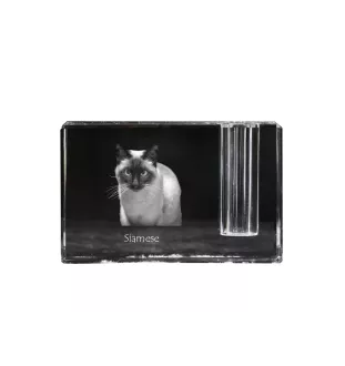 Siamese - Pen stand, crystal organiser with cat photo, unique desk decoration by Art-Dog brand