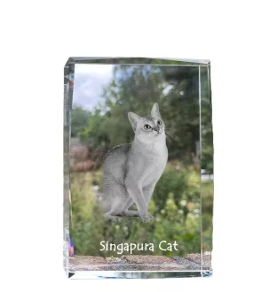 Chat Singapour - cristal avec une photo de chat, photo sous verre, exposition moderne de la marque de photos Art-Dog