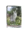Chat Singapour - cristal avec une photo de chat, photo sous verre, exposition moderne de la marque de photos Art-Dog