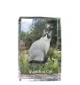 Chat Snowshoe - cristal avec une photo de chat, photo sous verre, exposition moderne de la marque de photos Art-Dog