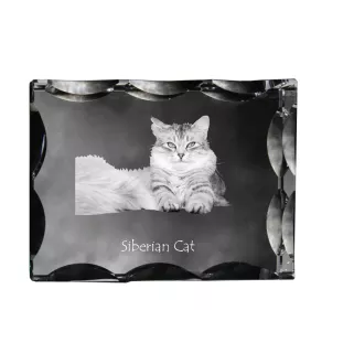 Siberian Cat - crystal with a cat picture, glass statuette with a picture, unique frame with a picture from Art-Dog brand