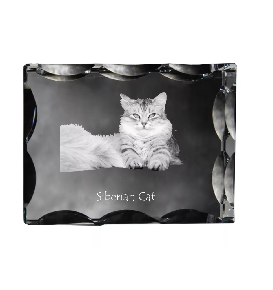 Sibirische Katze - Kristall mit Katzenbild, Glasstatuette mit Bild, einzigartiger Bilderrahmen der Marke Art-Dog