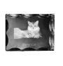 Sibirische Katze - Kristall mit Katzenbild, Glasstatuette mit Bild, einzigartiger Bilderrahmen der Marke Art-Dog