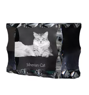 Sibirische Katze - Kristall mit Katzenbild, Glasstatuette mit Bild, einzigartiger Bilderrahmen der Marke Art-Dog