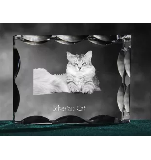 Sibirische Katze - Kristall mit Katzenbild, Glasstatuette mit Bild, einzigartiger Bilderrahmen der Marke Art-Dog
