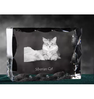 Sibirische Katze - Kristall mit Katzenbild, Glasstatuette mit Bild, einzigartiger Bilderrahmen der Marke Art-Dog
