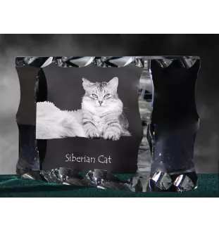 Siberian Cat - crystal with a cat picture, glass statuette with a picture, unique frame with a picture from Art-Dog brand