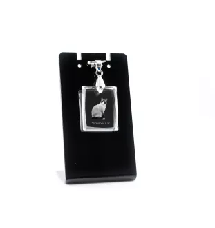 Chat Snowshoe - Crystal cat pendant, photo necklace, unique jewellery by Art-Dog