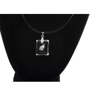 Chat Snowshoe - Crystal cat pendant, photo necklace, unique jewellery by Art-Dog