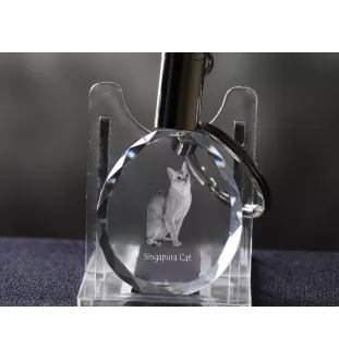 Chat Singapour - Fob with cat photo, crystal key ring in gift box, unique gift by Art-Dog brand