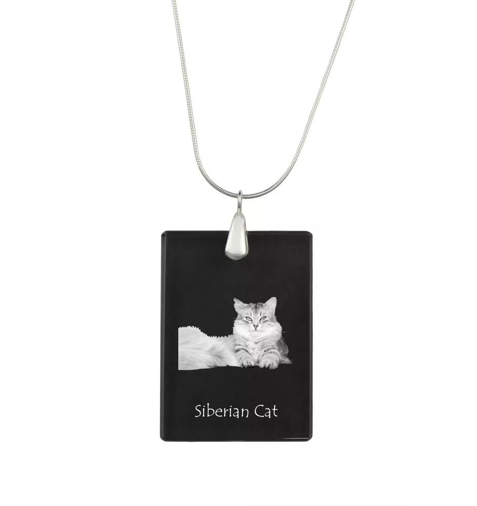 Siberian Cat - Crystal pendant with cat, silver necklace with photo, personalised pendant by Art-Dog brand