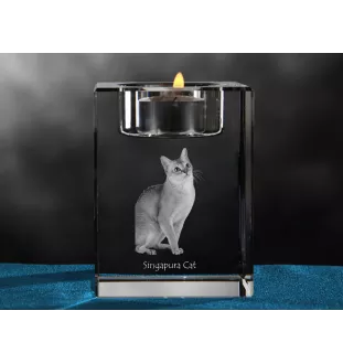 Kot singapurski świecznik kryształowy z kotem Art-Dog